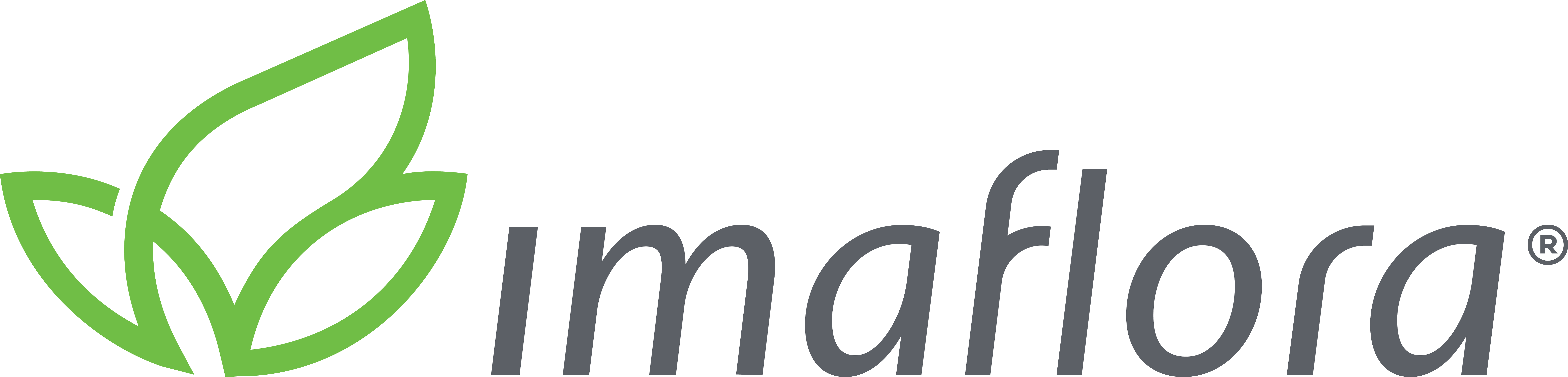 logo_color_cinza_-_Camila_Hira